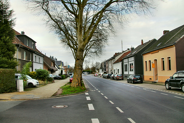 Scharnhölzstraße (Bottrop) / 15.02.2020