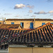 Remedios - morning roofs