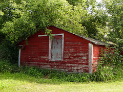 Little red cabin