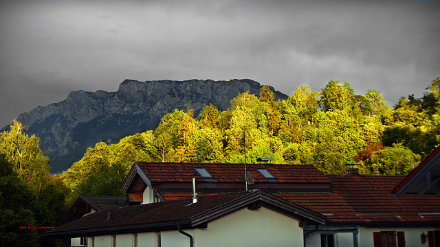 Kurz vor dem Gewitter - die letzten Sonnenstrahlen auf den Bäumen