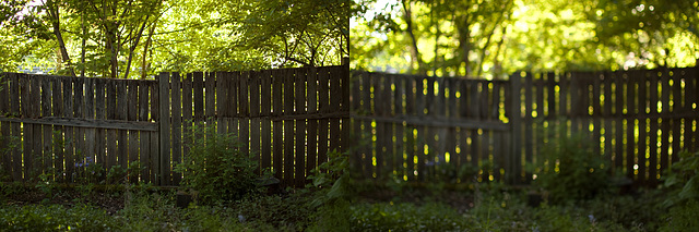 see through fence - diptych