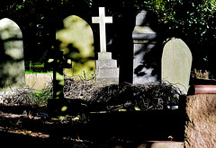 Overgrown.....Grave Invaders