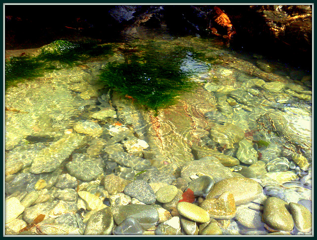 Another rockpool