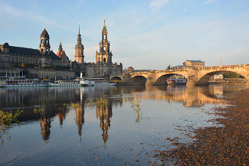 Am Elbufer in Dresden