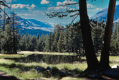 Sierra Pond, Yosemite National Park, 1980 (060°)