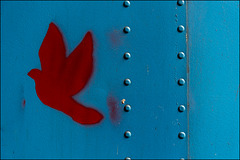 rivets and a red bird