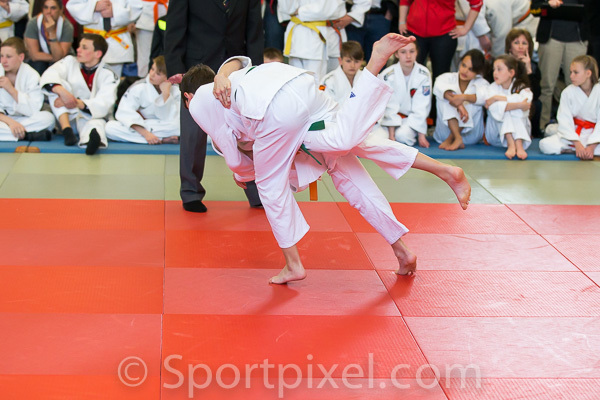 oster-judo-0106 17136142791 o