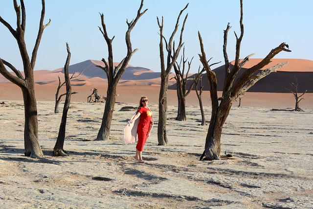 Namibia, In the Dead Forest of the Sossusvlei