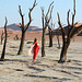 Namibia, In the Dead Forest of the Sossusvlei