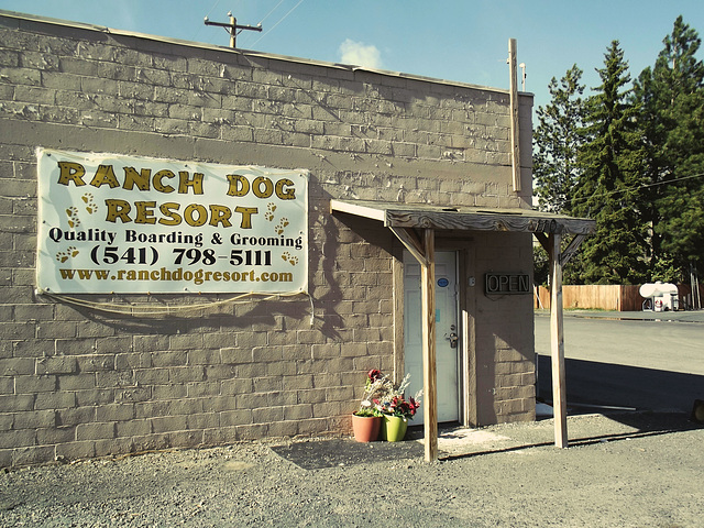 Ranch Dog Resort