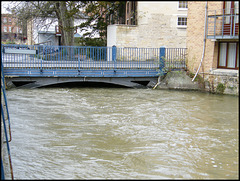 Quaking Bridge during flood