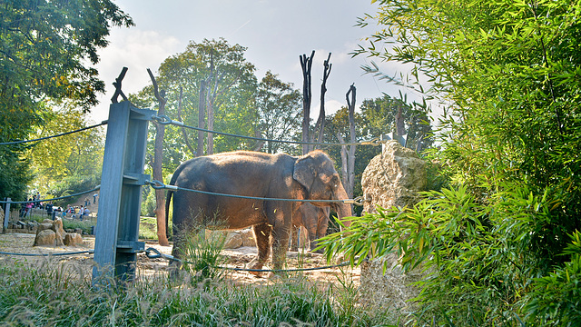 Wilhelma Zoo-Stuttgart