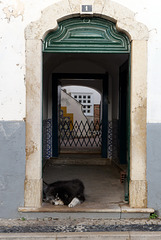 Faro, Vila-Adentro, HFF