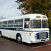 Classic Buses in Fareham (7) - 1 November 2020