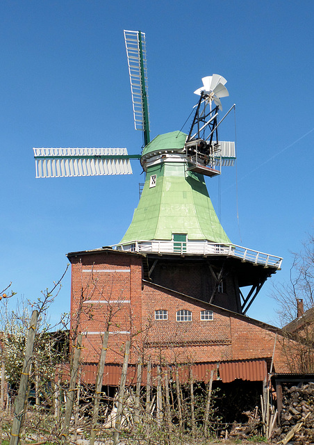Windmühle bei Hollern-Twielenfleth