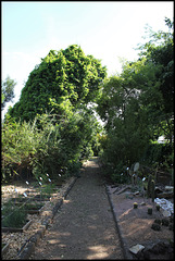 Jardin botanique de La Charme -63 (2)