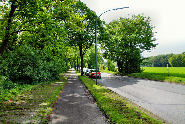 Bellendorfsweg (Gelsenkirchen-Scholven) / 5.05.2019