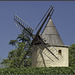 Windmühle im Weinfeld