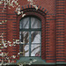 Window in Spring