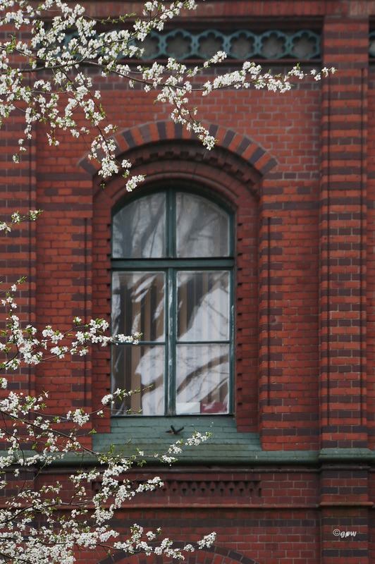 Window in Spring