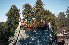 Top of the temple roof