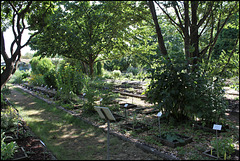 Jardin botanique de La Charme -63 (4)