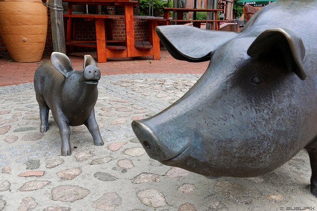 Am Schweinemarkt (© Buelipix)