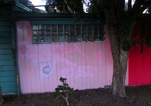 Pink Wall on 40th Streeet Oakland (3033)