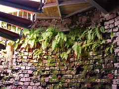 Rothenklempenow, im Bergfried