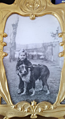 ...  in Pommern mit Tulli dem Hund