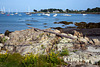 Maine harbor