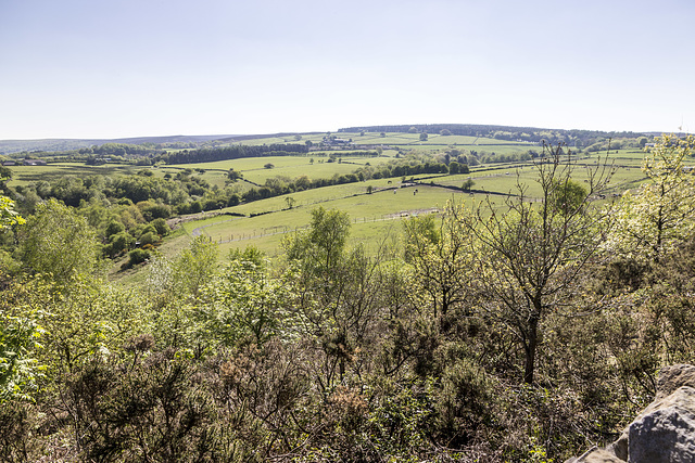 Bole Hill Plantation view to south-west