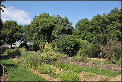 Jardin botanique de La Charme -63 (6)