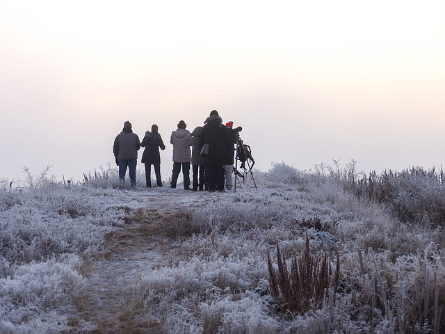 Remembering a cold, frosty bird count