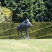 Boar Sculpture At The Garden Of Cosmic Speculation