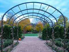 Autumn Arch