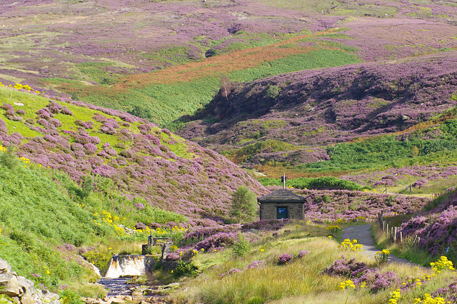 Woodhead and Black Clough in colours !