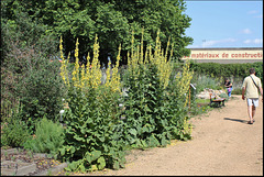 Jardin botanique de La Charme -63 (8)
