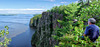 Devil's Rock,Cliffs and Lake Timiskaming (2 PiPs)