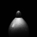 quail egg vase I