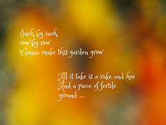 The Garden Song -