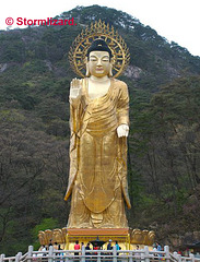 Golden Maltraya Statue of Beopjusa S Korea