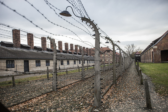Auschwitz Birkenau-25