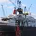 Kreuzfahrtschiff BOUDICCA im Dock