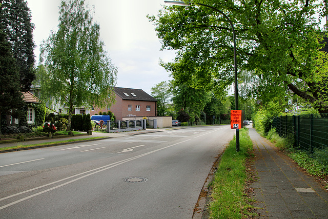 Scholvener Straße (Marl-Polsum) / 5.05.2019