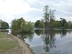 Grounds of Petworth House