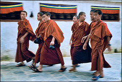 La ronde des moines