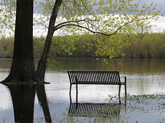 un banc pour les canards / a bench for the ducks