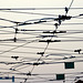 Canada 2016 – Toronto – Overhead wires