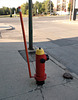 Assiniboine's hydrant (2)